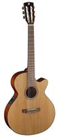 Picture for category Classical electro-acoustic guitars