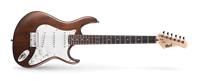 Picture of CORT G100 OPW Open Pore Walnut chitarra elettrica