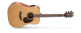 Picture of CORT EARTH 100F NS Natural Satin chitarra acustica elettrificata