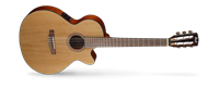 Picture of CORT CEC5 NAT Natural chitarra classica elettrificata