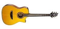 Picture of CORT LUXE SIGNATURE FRANK GAMBALE W/CASE NAT Natural chitarra acustica elettrificata con custodia rigida