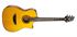 Picture of CORT LUXE SIGNATURE FRANK GAMBALE W/CASE NAT Natural chitarra acustica elettrificata con custodia rigida