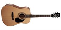 Picture of CORT AD810 W/BAG OP Open Pore chitarra acustica con custodia