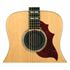 Immagine di Planet Waves SH-01 Tappo anti risonanza