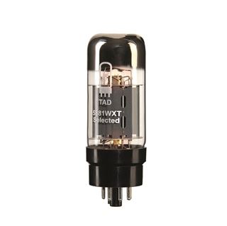 Immagine di 5881WXT-R TAD PREMIUM Accoppiamento incluso