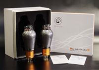 Immagine di Psvane 300B-T-MII/2 COPPIA
