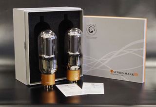 Picture of Psvane 845-T-MII/2 Matched Pair