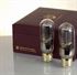 Immagine di Psvane 845-T/2 COPPIA