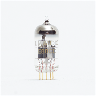 Immagine di 6922 / E88CC LM AUDIO NOS Gold pins