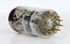 Immagine di E88CC Telefunken Gold Pins NOS 
